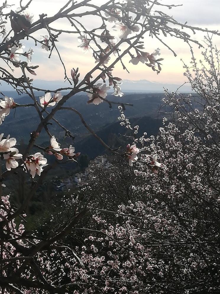 El Mirador De Castril - Granada Βίλα Εξωτερικό φωτογραφία